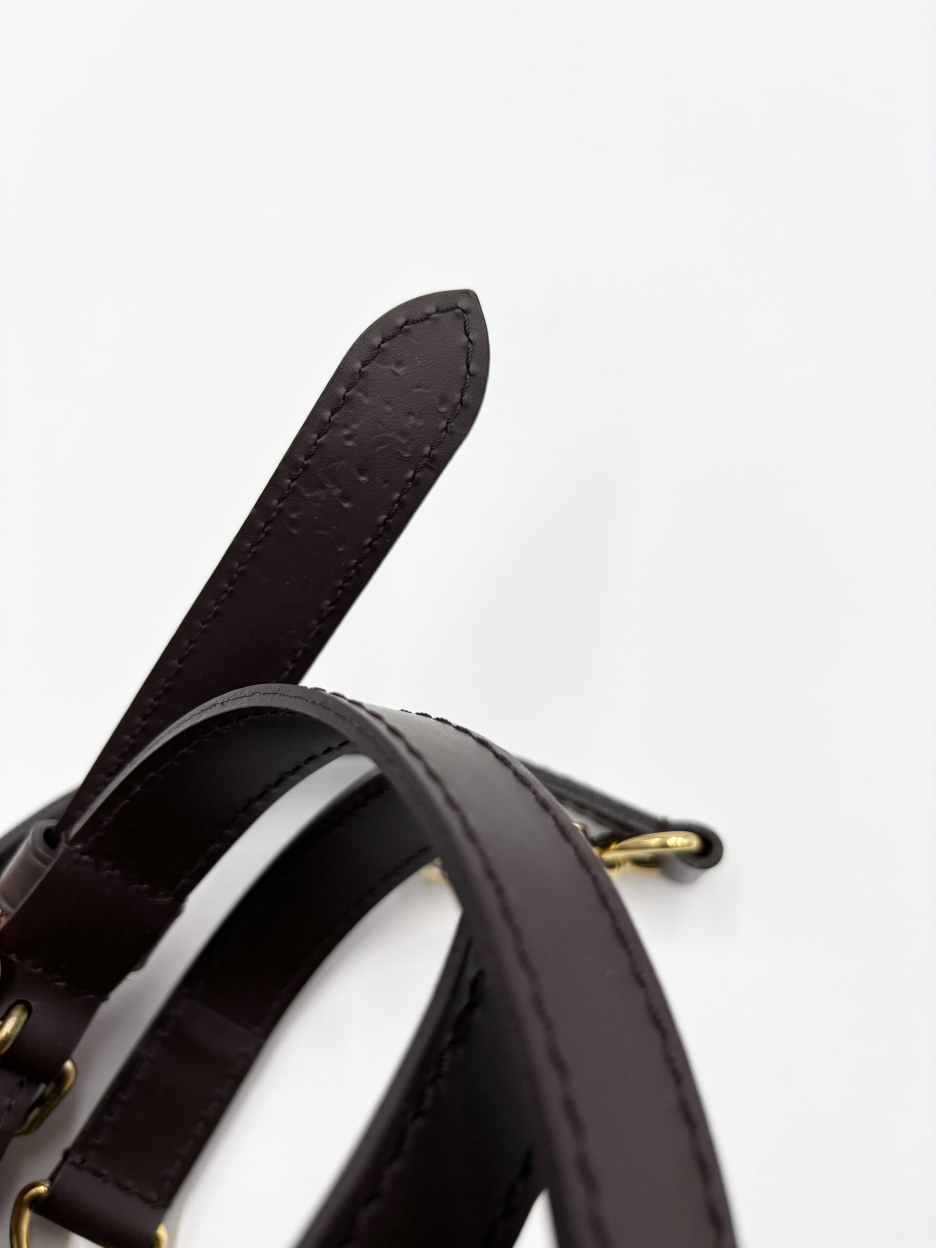 LOUIS VUITTON Speedy 25 Bandouliere - immagine 14